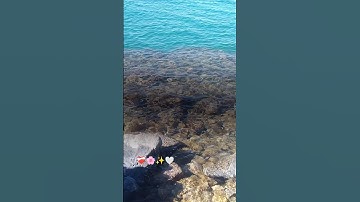 #تلاوة_خاشعة #قران_كريم #صوت_خاشع #ياسر_الدوسري #yasseraldossary #اكسبلور #اكسبلور #اسلام #اكسبلور