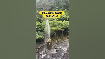 Lagu Mahal #suasanapedesaan #degungsunda #lagumahal #faktamenarik #shorts