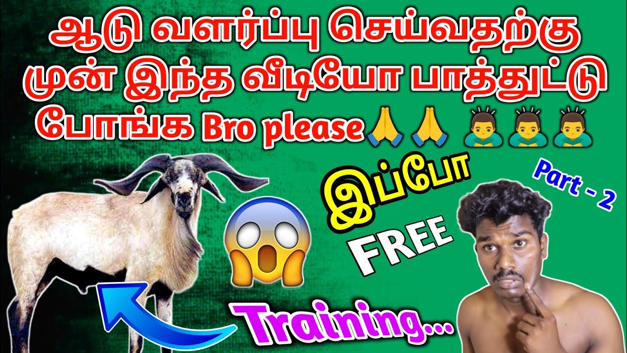 ஆடுவளர்பில் வருவதற்கு முன்பு இந்த வீடியோ பாருங்கள் நண்பர்களே!#aduvalarpputamil training #aduvalarppu