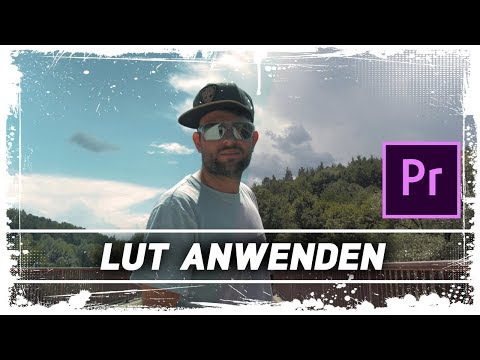 Wie verwende ich LUTs? + GRATIS LUT Pack || Premiere Pro Tutorial