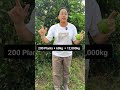 Mosambi farming business model #farming #agribusiness #latest #viral