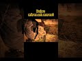 Γίνε παντός καιρού και περιβάλλοντος #survival #bushcraftskills
