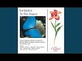 Nutcracker - suite, Op.71a: Dance of the Sugar Plum Fairy