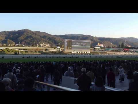 【現地撮影】福島記念 2013年 ダイワファルコン【ネコパンチ引退レース】