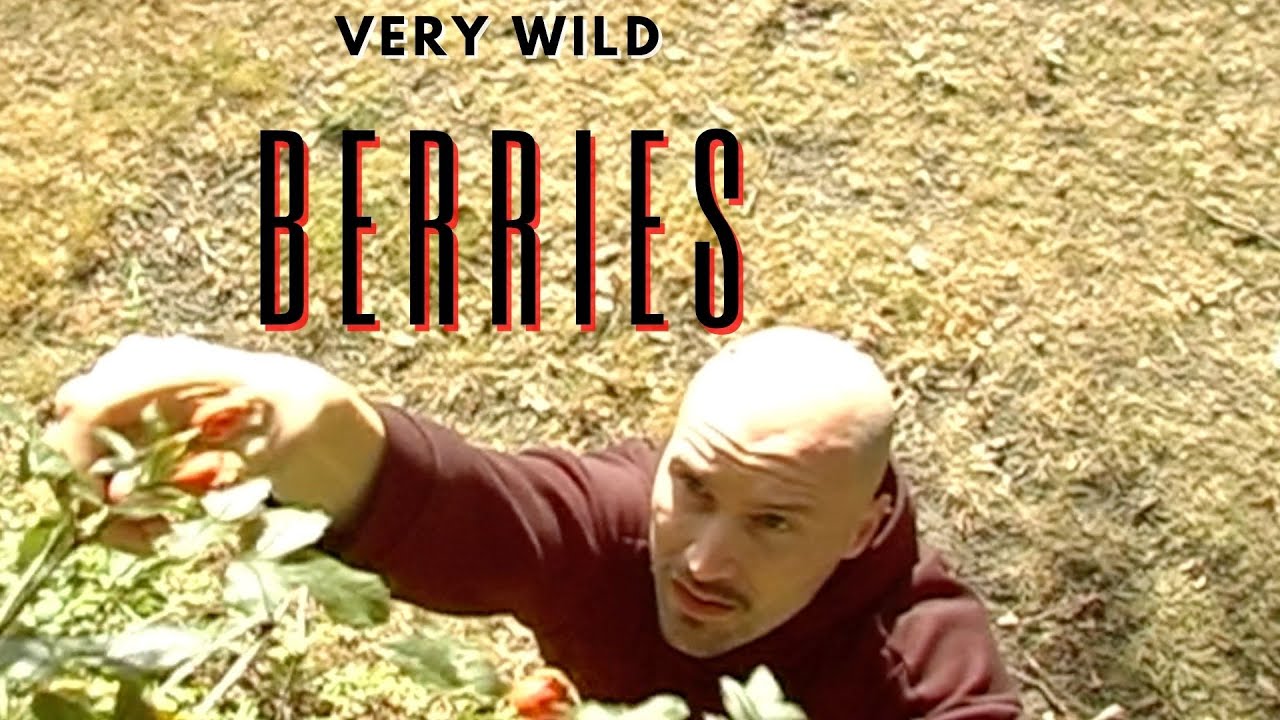 Forage For 