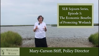 EP5 Sea Level Rise Sojourn Series: The Economic Benefits of Protecting Wetlands