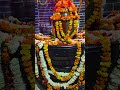 Gupt Ganga , Bhaderwah 😍 Ancient Temple ❤️ Happy Mahashivratri ❤️ Jammu Kashmir 📍