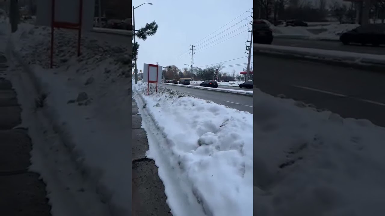 No copyright Video For Use Live Snow in Canada 🇨🇦