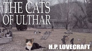 The Cats Of Ulthar - A Deranged Tale Of The Consequences Of Fooling With Cats
