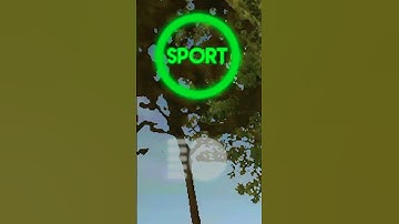 AMG ONE Car Driving School Simulator