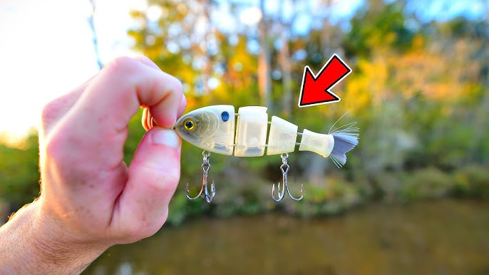 Fishing With The BABY BULL SHAD!!! (Catch Co X Mike Bucca) 
