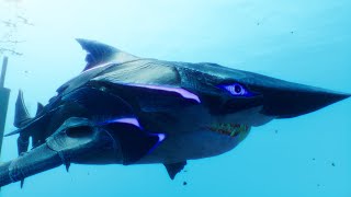 Celebrity Maneater | Maxed out Shadow Evolution (MEGA) Profile