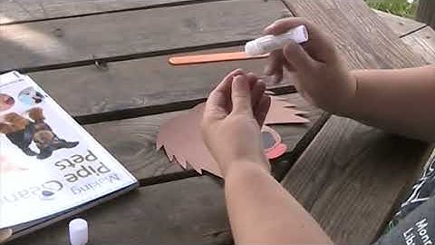 Kids Summer Reading Week 2: Tails and Trails Crafts