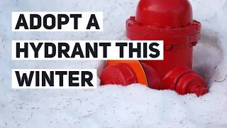 Adopt a Hydrant in West Allis