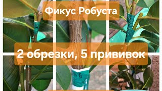:   5 !    04-25.02.2025.
