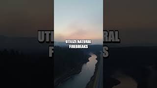 Surviving a Fiery Wildfire: Essential Evacuation Skills