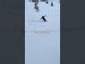Follow my insta (link in bio) to find out how! #offpiste #skiing #wintersport #skier #powderskiing