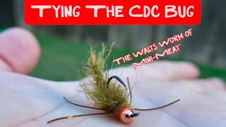 THE Cdc Bug: The Walts Worm of [Jig] Streamers-and Stonefly Patterns-and Crayfish Patterns-and... 