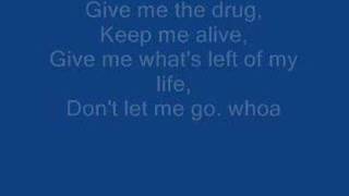 Rise Against - Injection (with lyrics)