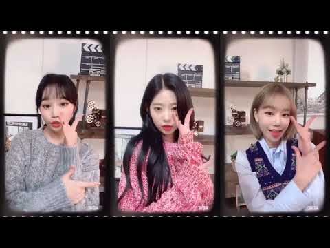 PANORAMA 틱톡 3인 (채원, 민주, 유리)