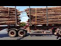 Tri-trem carregada de madeira para Suzano papel e celulose em Imperatriz do MA