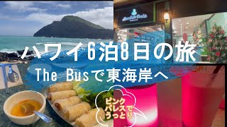 【旅行】最終日から帰国の様子　オハフの東海岸やカイムキ🚌ドライブ　憧れのマイタイバーへ　＃シニア旅　＃12月のハワイ　＃ハワイのクリスマス