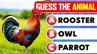 100 ANIMAL Picture Quiz! 🦉🦁 What Animal Is This? | Test Your Knowledge! | The Quiz Zone screenshot 4