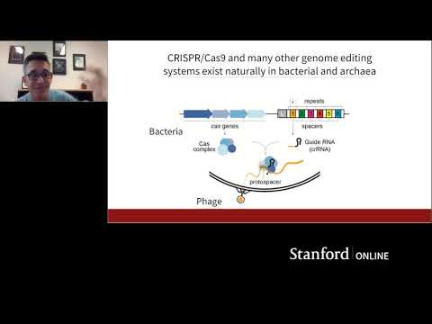 Stanford Webinar: How CRISPR Is Revolutionizing Cancer Research thumbnail
