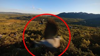 Flock of birds attack FPV drone 👀