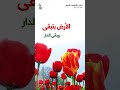 لبنان بالشهداء انتصر الحاج محمد رمال