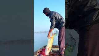 Big Rohu &amp; Katla Net Fishing in Dam | Unexpected Giant Fish Catch #trending trending #viral #fishing