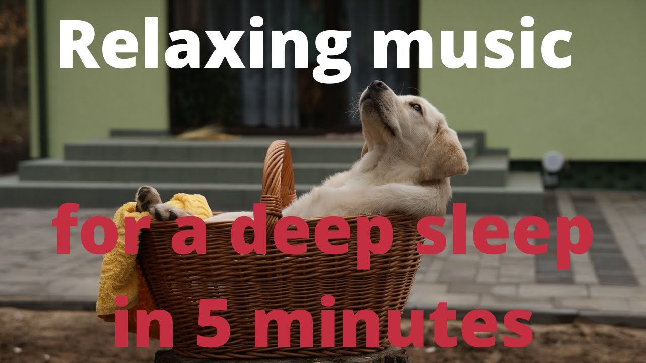 Relaxing music for a deep sleep in 5 minutes - YouTube