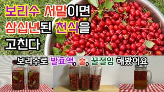 보리수 서말이면 삼십년된 천식을 고친다는 옛말이 있더군요