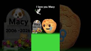 I love you Macy
