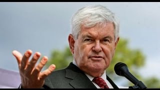 GOP Cat Fight! Newt vs. Karl Rove