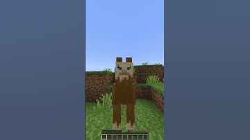 Minecraft death message song