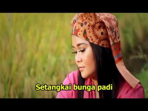 Setangkai Bunga Padi