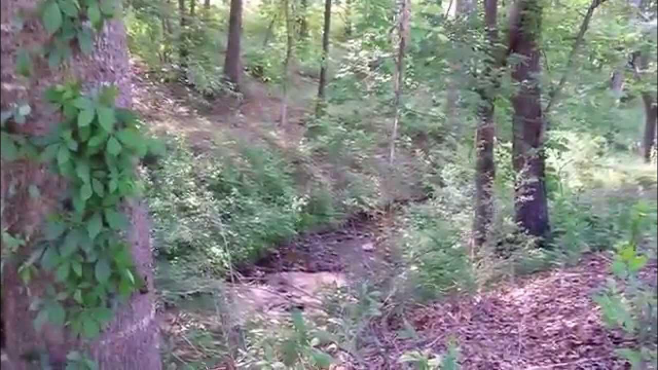 SILVER CREEK PLANTATION NC LOT FOR SALE YouTube