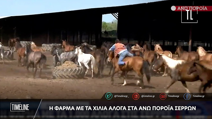 Η φάρμα με τα χίλια άλογα στα Άνω Πορόϊα Σερρών