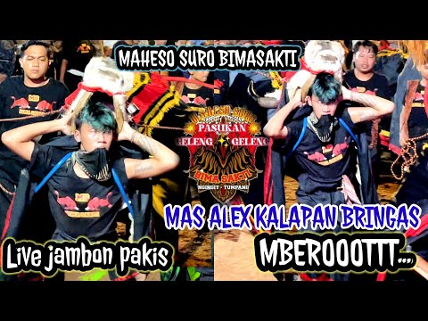 SELENDANG BIRU - JINGLE TERBARU SATRIO MAHESO - FEATURING BANDAR LIMOUSIN - Remixer DJ SAMID PROJECT