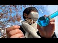 人が来たら即終了asmr☃️