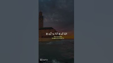 سعد الغامدي #تلاوة_خاشعة #اكسبلور #قران_كريم #راحة_نفسية #سعد_الغامدي