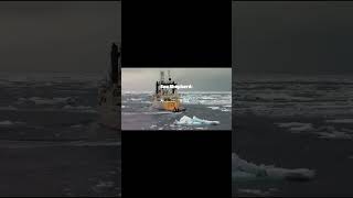 GO GET EM BOYS @Sea.Shepherd  #edit #seashepherd #education #sea #mission