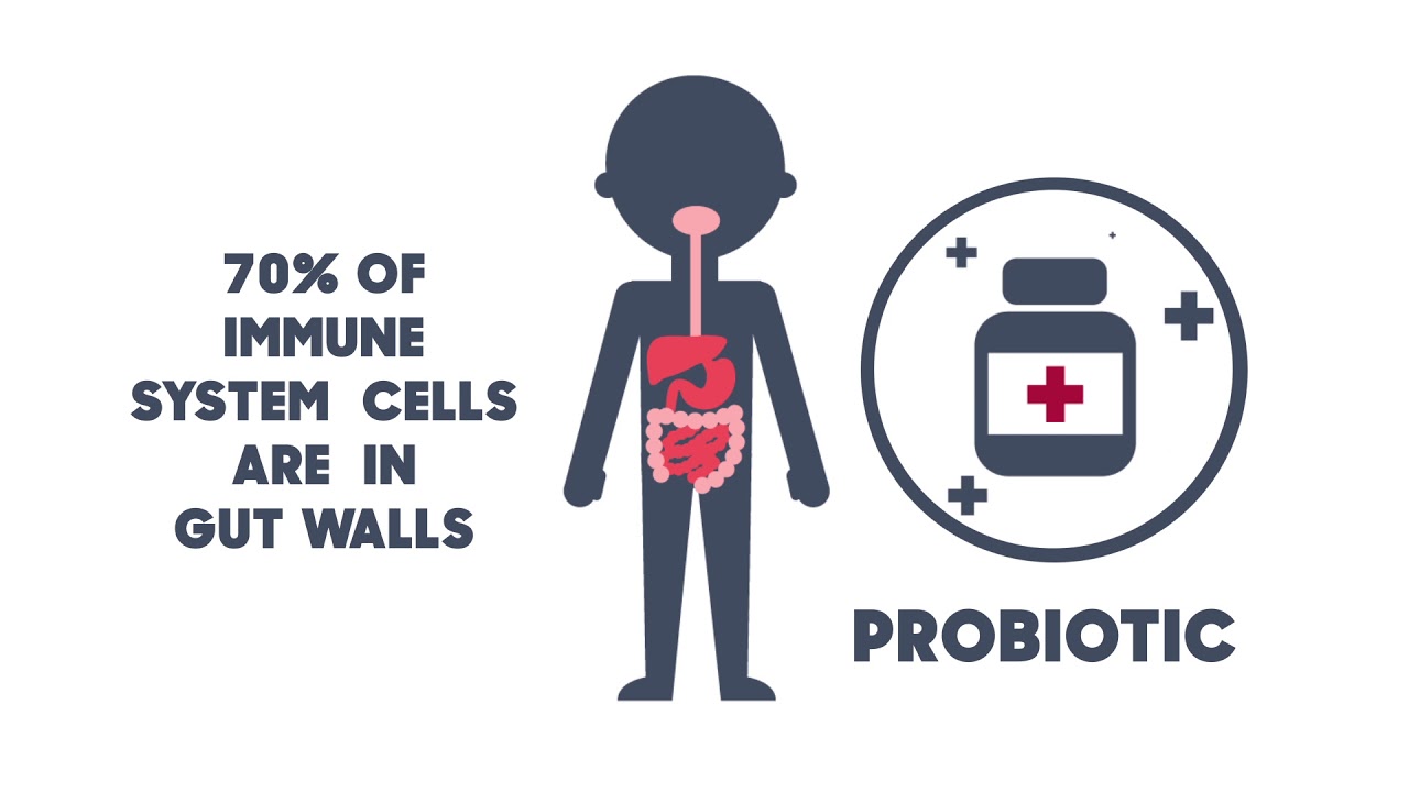 Dental Surgery followup Spanish YouTube
