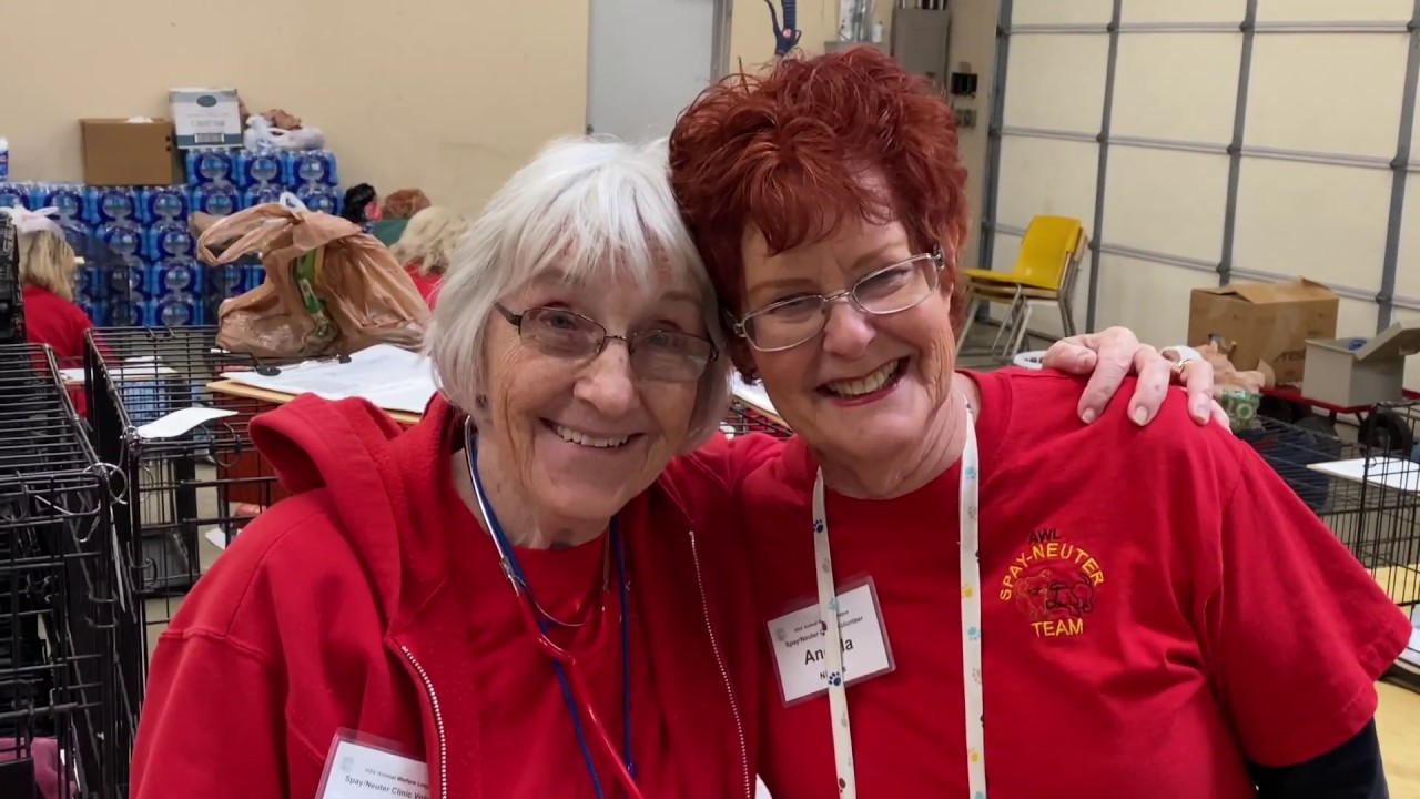 AWL Spay Neuter Hot Springs Village AR YouTube