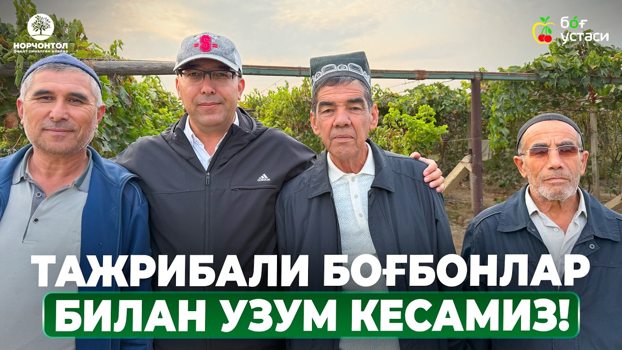 УЗУМНИ ВЕРТИКАЛ УСУЛДАН ОЛТИАРИҚ УСУЛИГА БОСҚИЧМА БОСҚИЧ ЎТҚАЗИШ! | ШУҲРАТ АБРОРОВ #shuhratabrorov