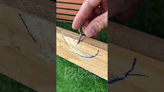 Do this with a hole saw and never struggle again #WorkshopUSA #WoodworkingHack #DIYFix