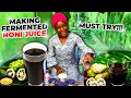 Making Fermented Noni Juice Ghana Edition 