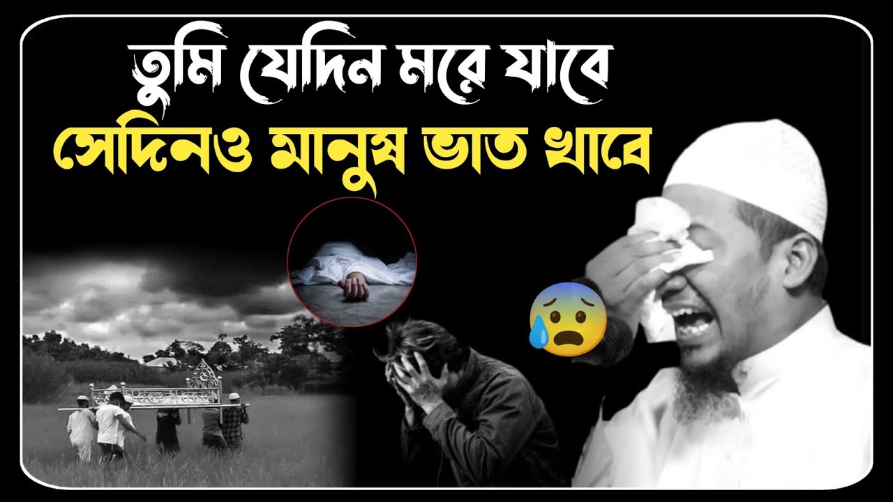 তুমি যেদিন মরে যাবে সেদিনও মানুষ ভাত খাবে 🥺💔 মাওলানা আনিসুর রহমান আশরাফী ওয়াজ 2025 ।। Anisur Rahman