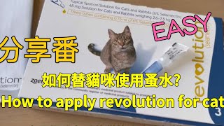 【如何替貓咪使用蚤水】 How to apply revolution for cat🐱 貓 बिरालो kucing